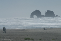 Oregon coast