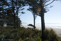 Oregon coast