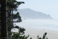 Oregon coast