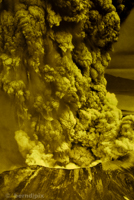 Poster of the Mt. St. Helens eruption