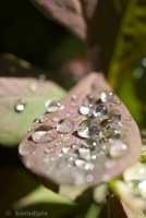 Surface tension