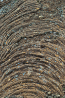 Pahoehoe-Lava