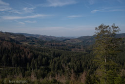 Morgenbrodstaler Graben