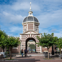 <div></div>