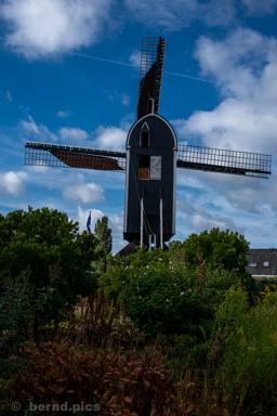 <div></div>