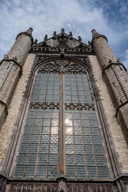 <div></div>