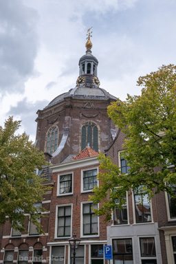 <div></div>