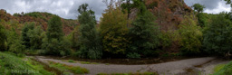 <div></div>