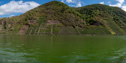 <div></div>